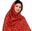 Pashmina Chales